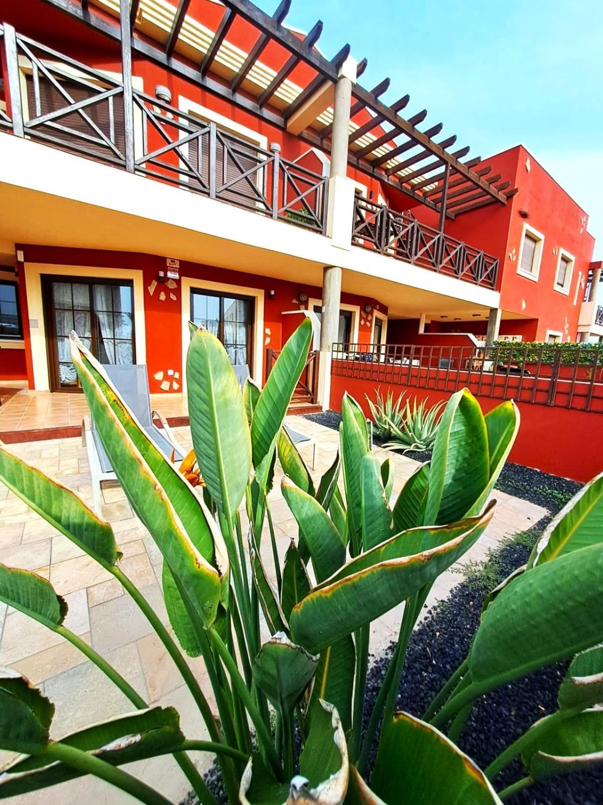 Buen Camino El Cotillo El Cotillo (Fuerteventura) Exterior foto